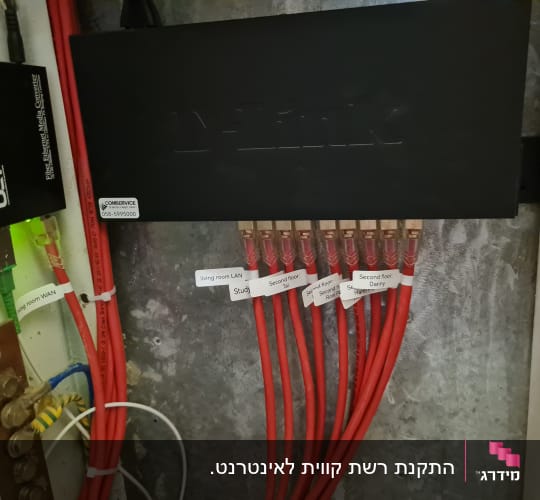 סידור ארון תקשורת ביתי עם מתג רשת D-Link וכבלי רשת מסומנים